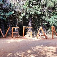  at Sadhana Forest Seva Kitchen in Auroville
