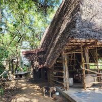  at Sadhana Forest Seva Kitchen in Auroville