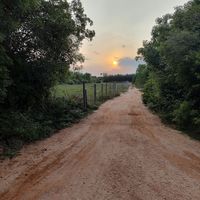  at Sadhana Forest Seva Kitchen in Auroville