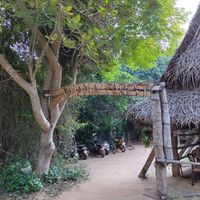  at Sadhana Forest Seva Kitchen in Auroville