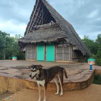  at Sadhana Forest Seva Kitchen in Auroville