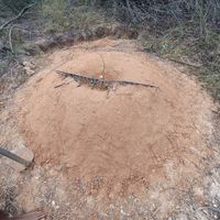 Mount for water conservation at Sadhana Forest Seva Kitchen in Auroville