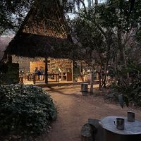  at Sadhana Forest Seva Kitchen in Auroville