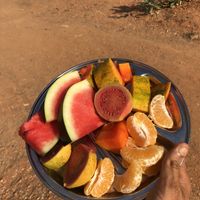 Fruits for breakfast   at Sadhana Forest Seva Kitchen in Auroville