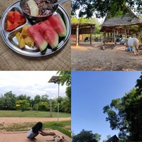  at Sadhana Forest Seva Kitchen in Auroville