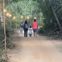 Sadhana Forest, running 100% on solar ☀️   at Sadhana Forest Seva Kitchen in Auroville