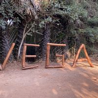 100% vegan  at Sadhana Forest Seva Kitchen in Auroville