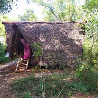 My little place in the forest at Sadhana Forest Seva Kitchen in Auroville
