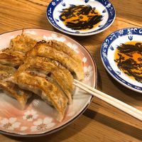 Incredibly good vegan gyozas at Heianraku in Takayama