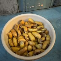 corn  at Barra Maretazo in Lima