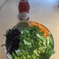 Asiatisk trädgård   at Holy Greens in Jonkoping