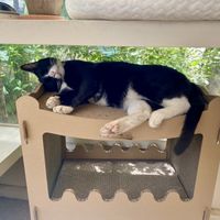   at Cosmos Grocery Cafe in Seoul