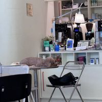   at Cosmos Grocery Cafe in Seoul