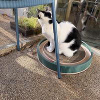   at Cosmos Grocery Cafe in Seoul