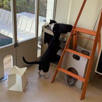   at Cosmos Grocery Cafe in Seoul