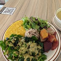 This is the main plate... One choice for the day! at Himalaya Vegan in Sacramento