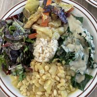 Full sized plate   at Himalaya Vegan in Sacramento