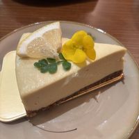 Coconut Lime Cheesecake 🤤  at CHAYFOOD in Hanoi