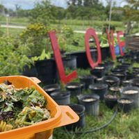 Wonderful meal out on the Farm!  at The Vegan Restaurants in Loxahatchee Groves