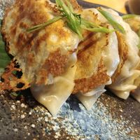 veggie gyoza at TYGR in Ubud