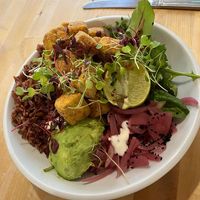 Fabulouse tofu poke bowl  at The Courtyard in Portsmouth