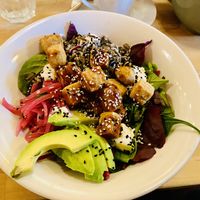 Delicious tasty tofu poke bowl!🌟🌟🌟🌟🌟  at The Courtyard in Portsmouth