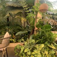   at Guru Chay in Da Lat