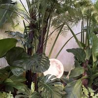   at Guru Chay in Da Lat