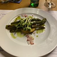   at The Botanist in Zadar