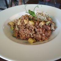  at The Botanist in Zadar