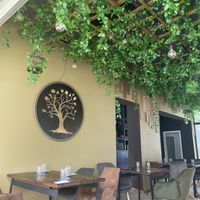   at The Botanist in Zadar