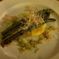  at The Botanist in Zadar