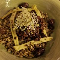  at The Botanist in Zadar