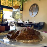 Common Cockchafer  at The Botanist in Zadar