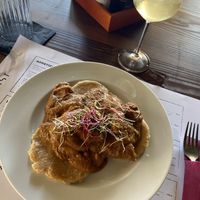 Common Cockchafer  at The Botanist in Zadar