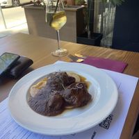 Common cockchafer  at The Botanist in Zadar