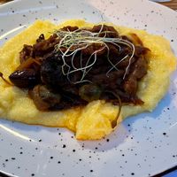 Tasseled wobbegong at The Botanist in Zadar