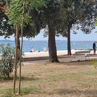  at The Botanist in Zadar