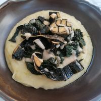  at The Botanist in Zadar