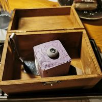  at The Botanist in Zadar