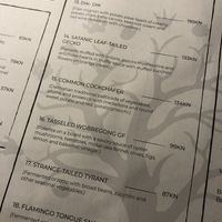   at The Botanist in Zadar