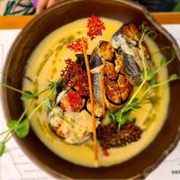   at The Botanist in Zadar