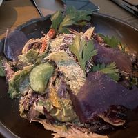   at The Botanist in Zadar