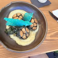 OLM  at The Botanist in Zadar