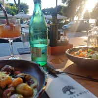  at The Botanist in Zadar