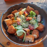  at The Botanist in Zadar