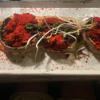   at The Botanist in Zadar