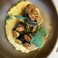 “Fish” and mashed potatoes and cauliflower   at The Botanist in Zadar