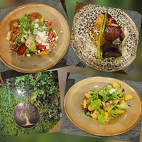  at The Botanist in Zadar