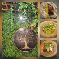  at The Botanist in Zadar